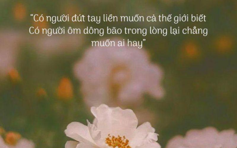 Sống Đẹp