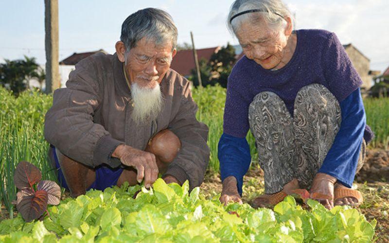 Sống Đẹp