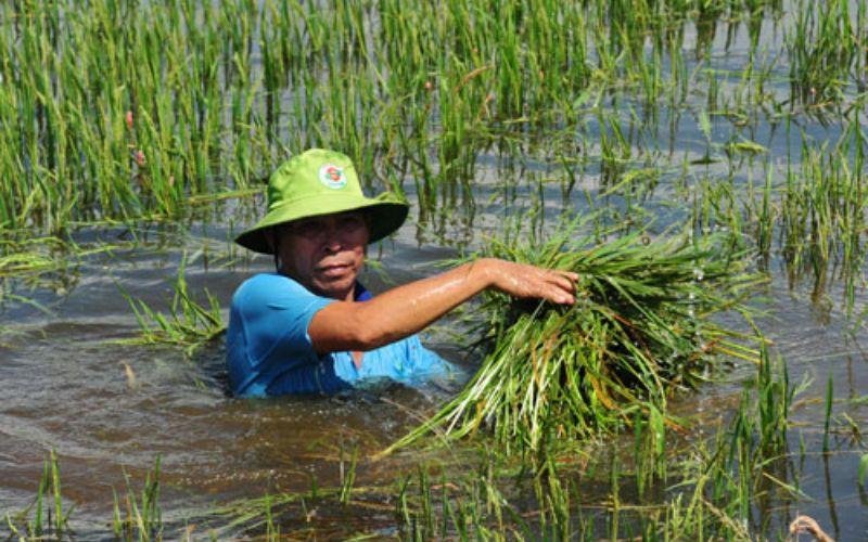 Sống Đẹp