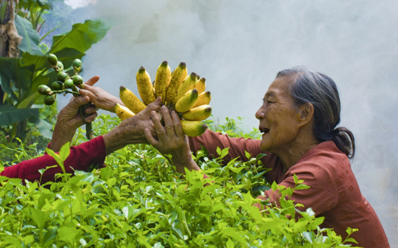 Sống Đẹp