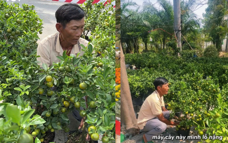 Sống Đẹp