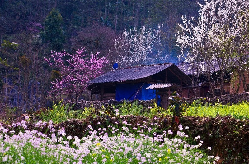 Sống Đẹp