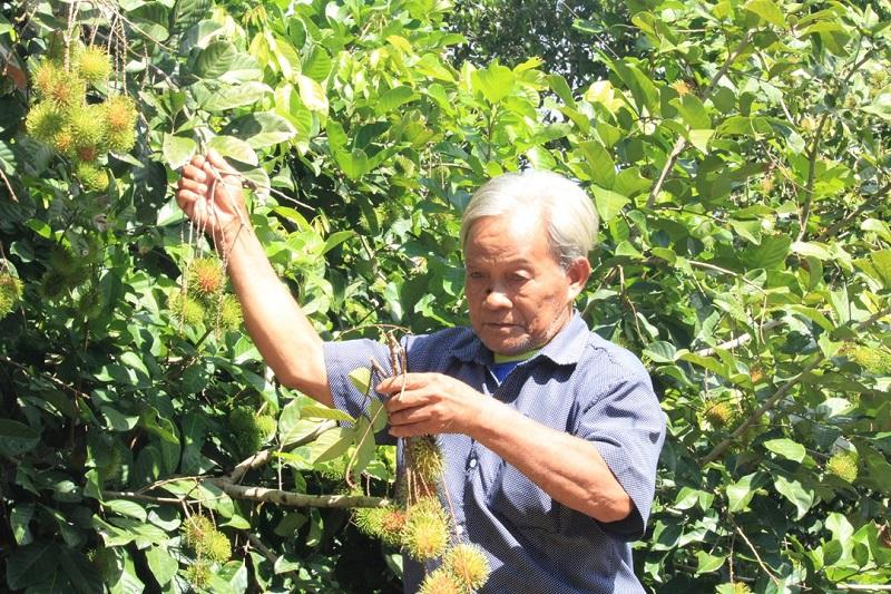 Sống Đẹp