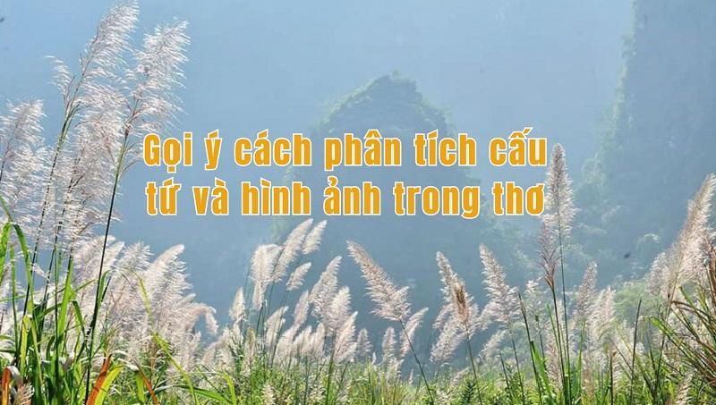 Sống Đẹp