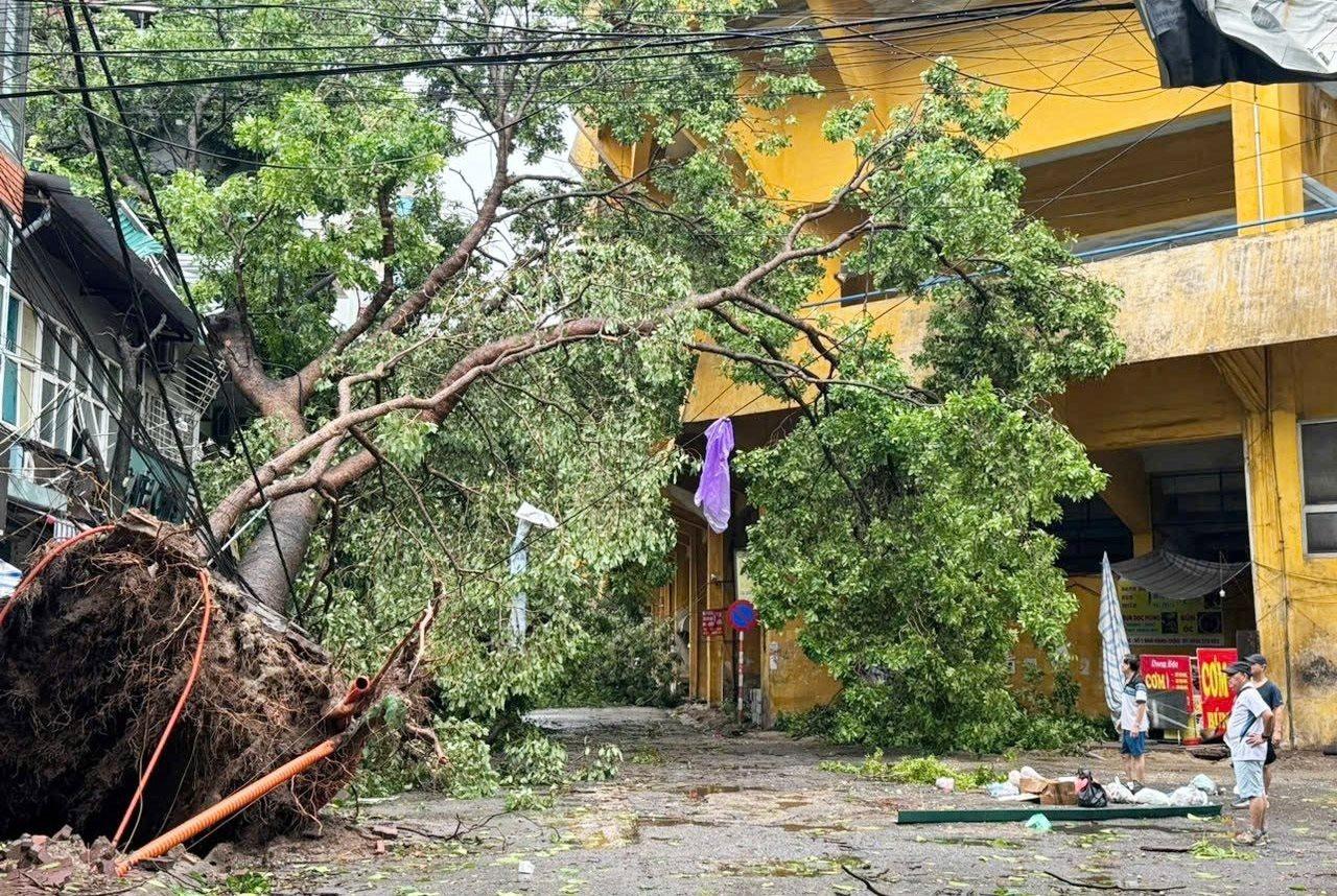 Đáp lại lời kêu gọi, hơn 100 thanh niên Thừa Thiên Huế tình nguyện ra miền Bắc khắc phục hậu quả bão số 3