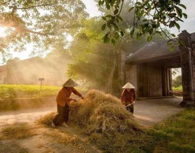 tro-ve-que-huong-cau-chuyen-nhan-van-dang-ngam (1)