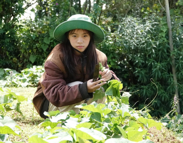 cam-phuc-tinh-than-vuot-kho-cua-nu-sinh-da-lat (2)