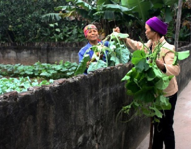 tinh-lang-nghia-xom-cau-chuyen-nhan-van-dang-ngam