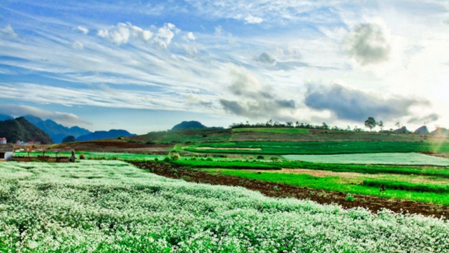 nghi-tuan-trang-mat-14