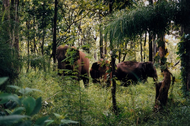 trai-nghiem-o-buon-me-thuot-10