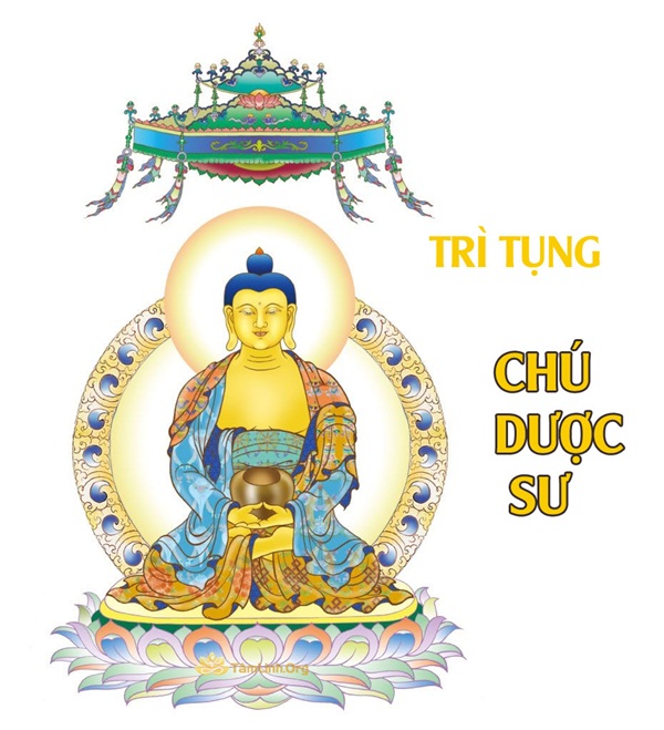 tung-chu-duoc-su-tai-nha-tieu-tru-benh-tat-cau-binh-an-1