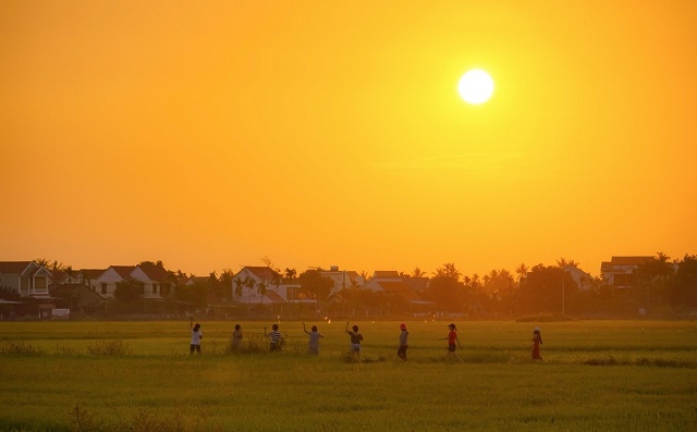 lang-que-xu-quang-voi-cau-tre-cay-co-don-dep-nhu-trong-mat-biec-5