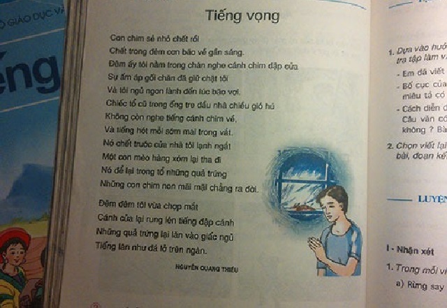 van-hoc-thuong-thuc-bai-hoc-nhan-sinh-trong-bai-tho-tieng-vong-9