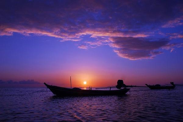 tinh-mau-tu-trong-chiec-tuyen-ngoai-xa