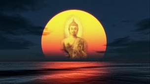 Cuộc sống luôn vật lộn với tham và sân