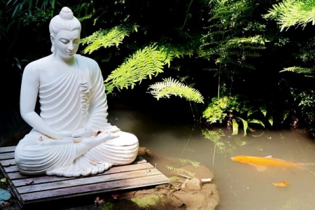 cach-ngoi-kiet-gia-chuan-nhat-danh-cho-cac-phat-tu-2
